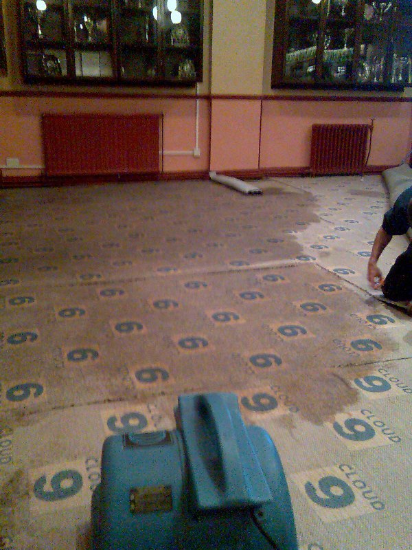 Before professional carpet cleaning in Halifax home