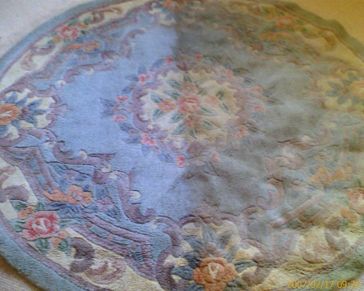 After professional carpet cleaning in Halifax home