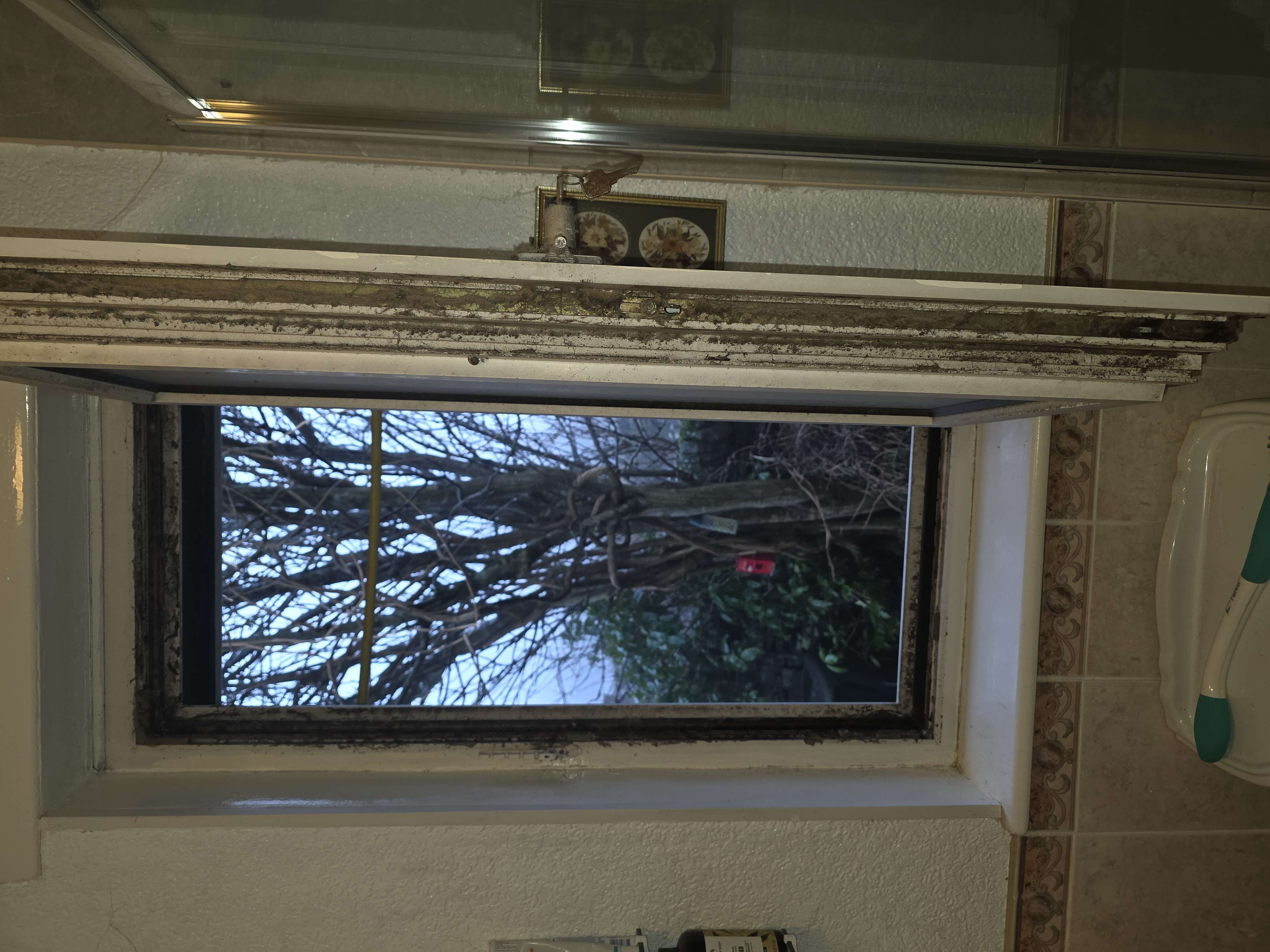 Before photo of cleaning transformation 1